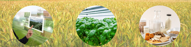 14. Ökobilanz-Plattform Land- und Ernährungswirtschaft