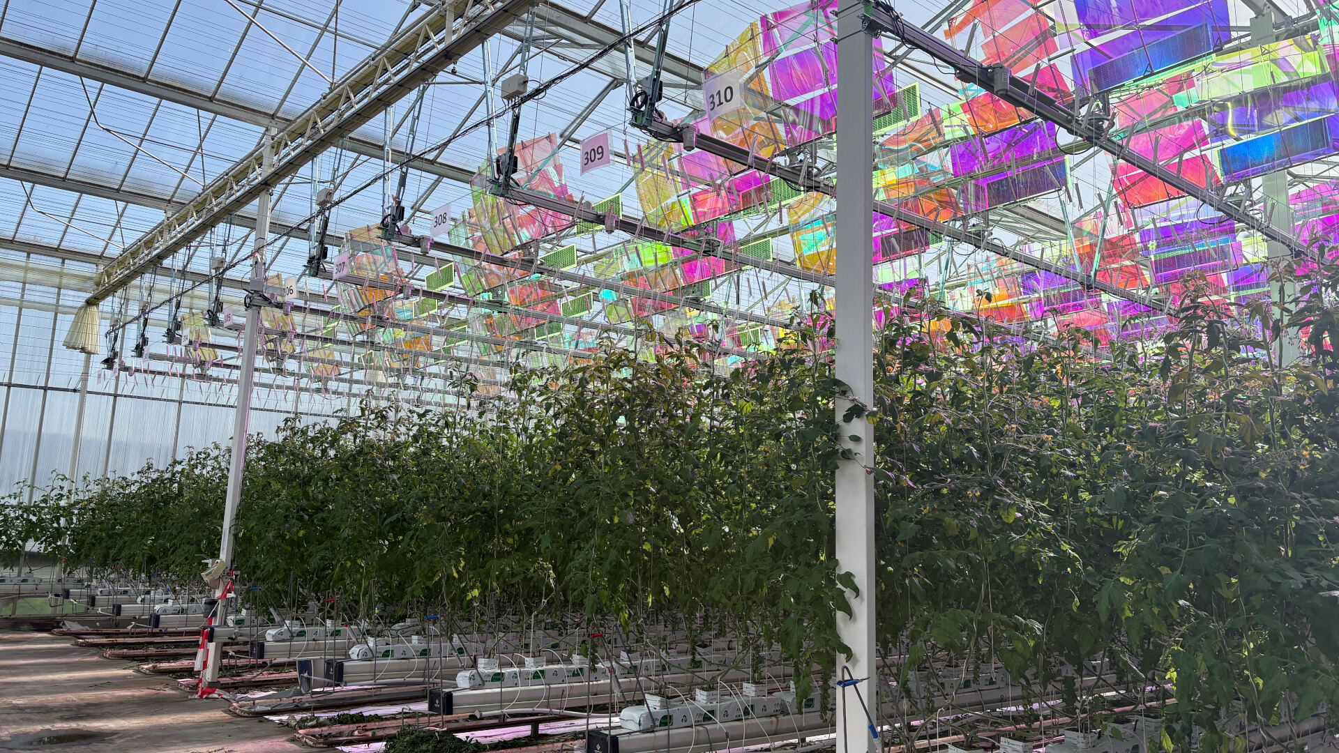 Veranstaltung «Connect EnovArk»: Agroscope stellt am Standort Conthey das Agri-Photovoltaik-Projekt vor.